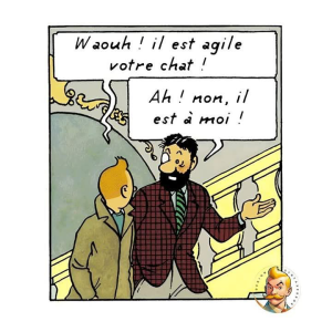 1747328866718.png