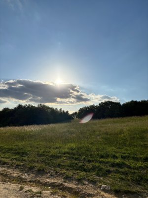 IMG_0269.jpeg
