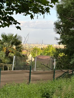 IMG_0297.jpeg