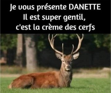 IMG_0775.jpeg