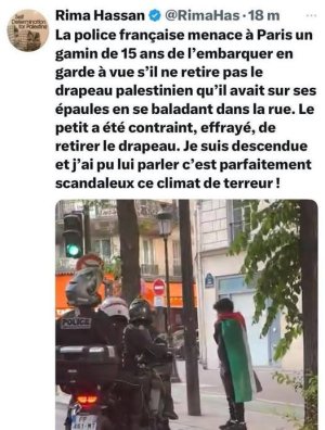 Rima Hassan défend enfant rrapeau Palestinien .jpg
