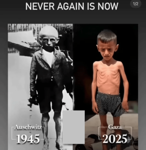 image-391.png