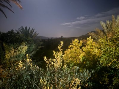 IMG_1948.jpeg