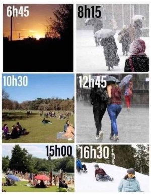 IMG_0906.jpeg
