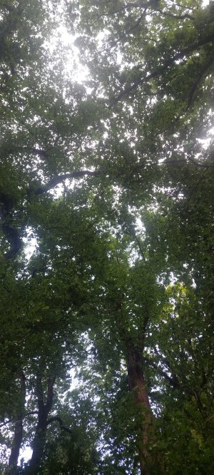 20250608_094837.jpg