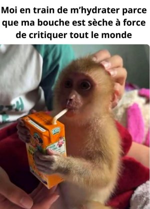 FB_IMG_1749728146602.jpg