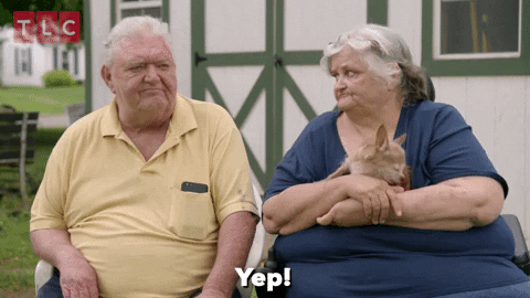giphy.gif
