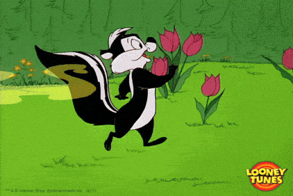 giphy-downsized.gif