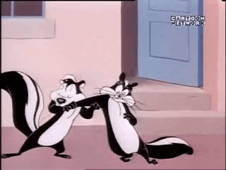giphy.gif
