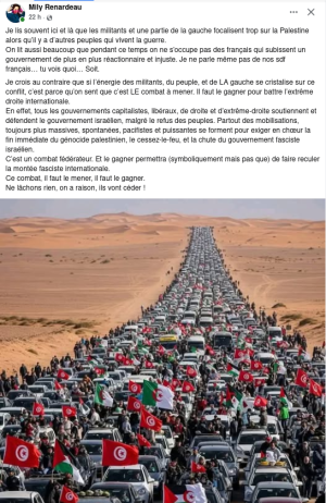 message Mily Palestine .png