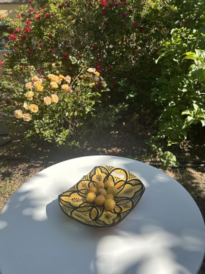 IMG_6755.jpeg