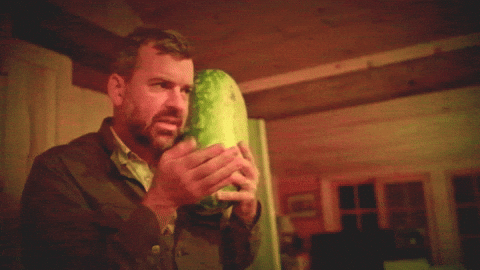 giphy.gif