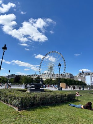 IMG_1371.jpeg