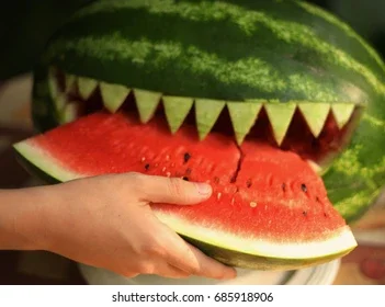 water-melon-cut-sarp-teeth-260nw-685918906.webp