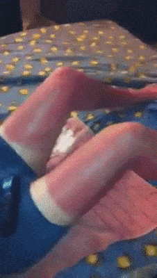 giphy-downsized.gif