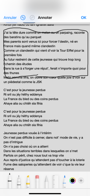 IMG_8585.png