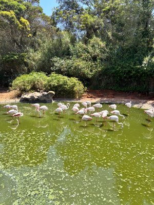 IMG_1901.jpeg