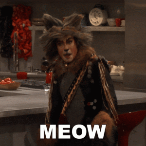 giphy-downsized-medium.gif