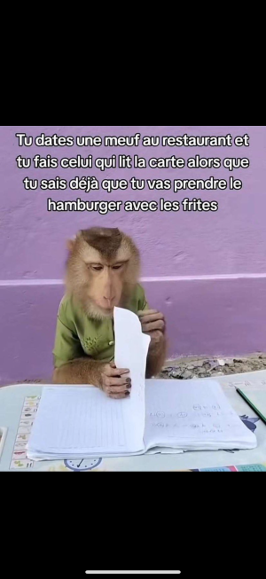 IMG_8606.png