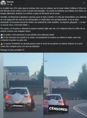 1752399264903.png