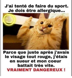 IMG_1517.jpeg