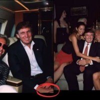 Trumpette-dans-ses-frasques-1752413305.7286.jpg