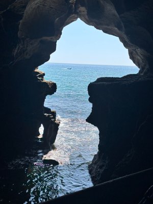 IMG_2979.jpeg