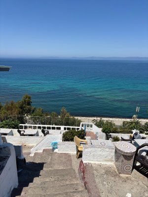 IMG_2918.jpeg