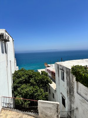 IMG_2825.jpeg