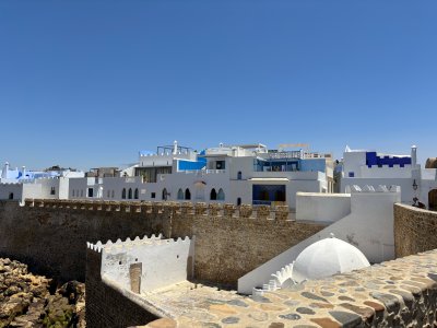 IMG_3095.jpeg