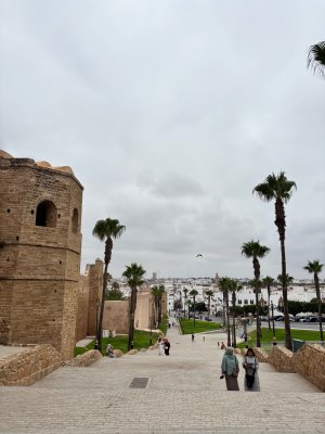 IMG_2246.jpeg