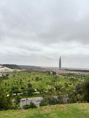 IMG_2239.jpeg
