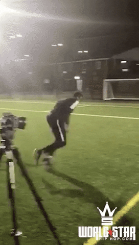 giphy.gif