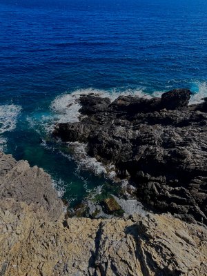 IMG_2511.jpeg