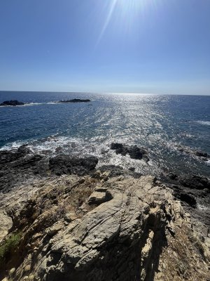 IMG_2519.jpeg