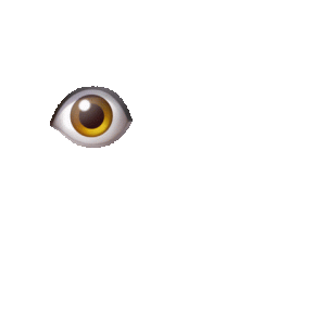giphy.gif