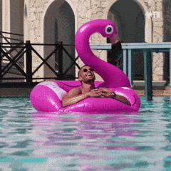 giphy-downsized.gif