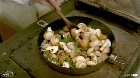 giphy.gif