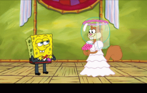giphy.gif