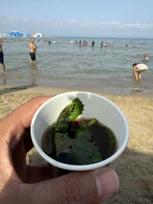 IMG_8859.jpeg