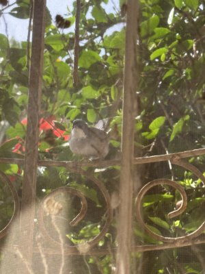 IMG_4839.jpeg