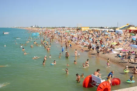 10343819-23271116-l.webp