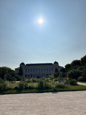 IMG_3679.jpeg