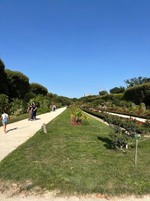 IMG_3678.jpeg