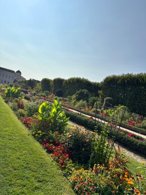 IMG_3687.jpeg