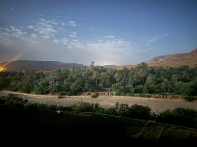 IMG_2118.jpeg