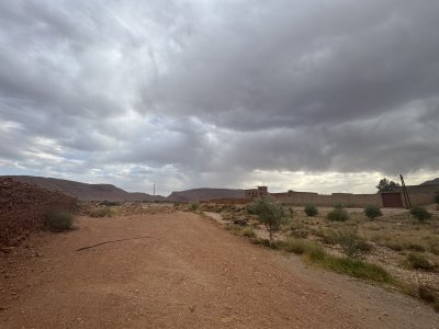 IMG_2152.jpeg
