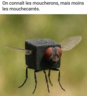 1755287464067.png
