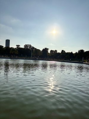 IMG_4039.jpeg