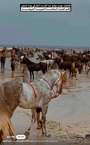 moulay-abdellah-amghar-3.png